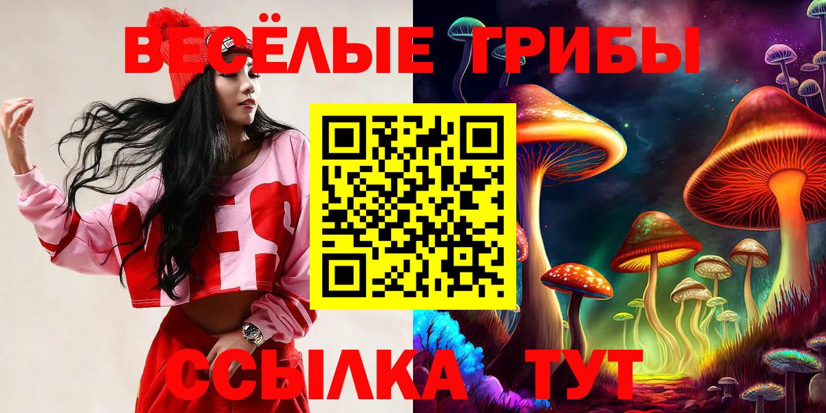 Псилоцибиновые грибы мухоморы Приморско-Ахтарск