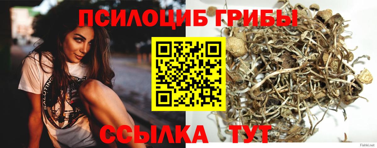 Галлюциногенные грибы мицелий  Псилоцибиновые грибы мухоморы  Приморско-Ахтарск  Вход с VPN 